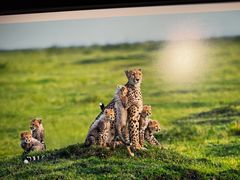 -罗红摄影艺术馆