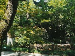 -浙江西子宾馆·瑶园咖啡厅