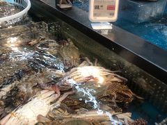水产区-盒马鲜生(丁香国际店)