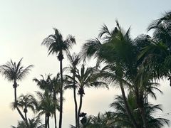 -巴拉湾海滩