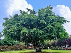 -成都中医药大学(温江校区)