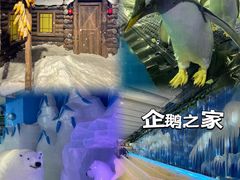 -郑州银基冰雪世界