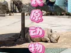 -太原动物园