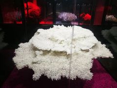 -游龙石文化科普馆