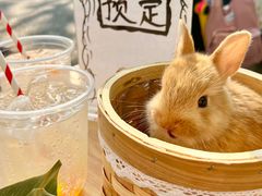 -大象厨房(重庆道店)