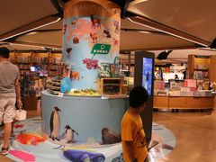 -猫的天空之城概念书店(苏州诚品店)