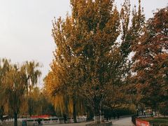 -丰台花园