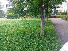 -湖北科技职业学院(关山校区)