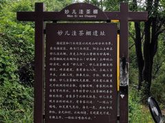 -阳台山自然风景区