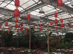 -金稼园·金平湖农家菜