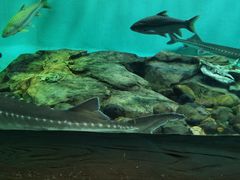 -太平洋海底世界