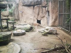 -成都动物园