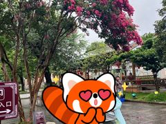 -大理文庙(大理古城)