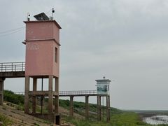 -鄱阳湖国家湿地公园