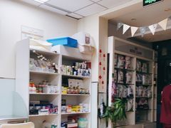 -瑞派·关忠动物医院·猫专科·犬专科(三环新城店)
