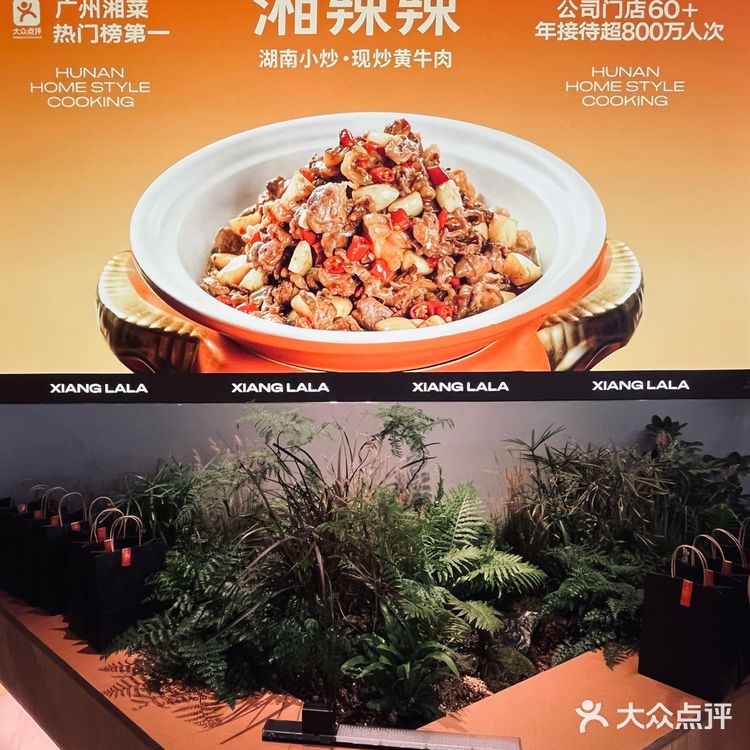 深圳新店｜超🔥爆的湘菜扛把子来了‼️湘辣辣