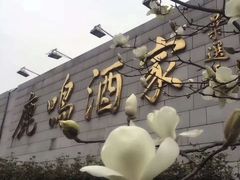 -鹿鸣酒家(越秀店)