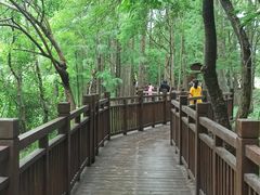 -东湖落雁景区