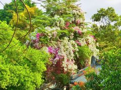 -深圳国际园林花卉博览园