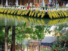 -杭州植物园