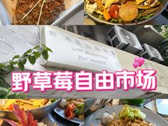 -野草莓自由市场
