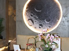 -施奈儿.洗头頭療.按摩SPA.采耳(上梅林店)