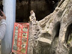 -南江大峡谷