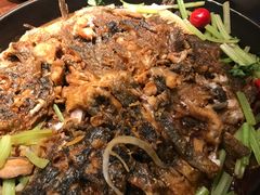 -老板恋上鱼(荣盛广场店)