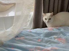 -爱侣宠医·鹦鹉专科·小型哺乳类·异宠专科(灵石路店)