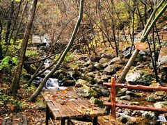 -青峰峡国家森林公园