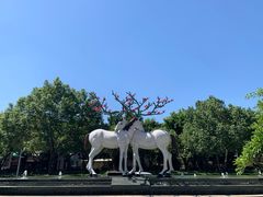 -鹭江潮餐厅•福建菜(鹭江佲家酒店)