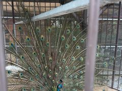 -珠海海泉湾神秘岛亲子乐园