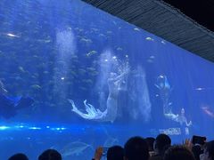 -华夏文旅西安度假区