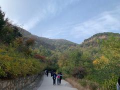 -北京西山国家森林公园