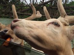 iphone_upload_pic-常州武进九洲喜来登酒店