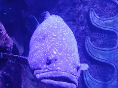 -波塞冬海底世界