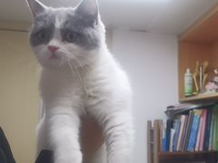 -宠颐生宠物医院·心肾内科·猫专科诊疗中心宠巢店
