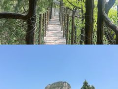 -抱犊崮国家森林公园