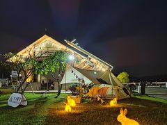 -大湾区中央湿地公园