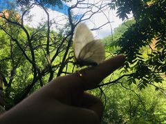 -碓臼峪自然风景区