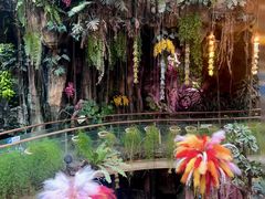 -正佳雨林生态植物园