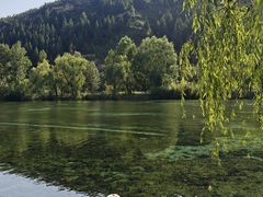 -芦芽山旅游度假区