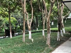 -龙头寺公园