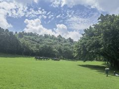 -广州雕塑公园