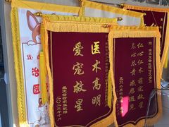 -瑞派宠物医院·犬猫全科·猫友好(宾水西道店)