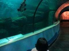 -苏州海洋馆