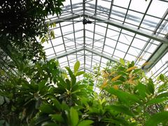 -国家植物园南园