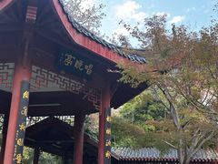 -堤角公园