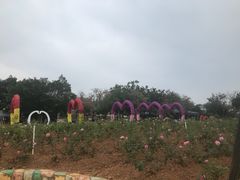 -松山湖梦幻百花洲