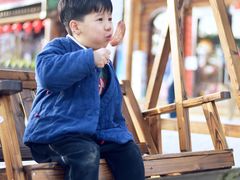 -合肥滨湖国家森林公园